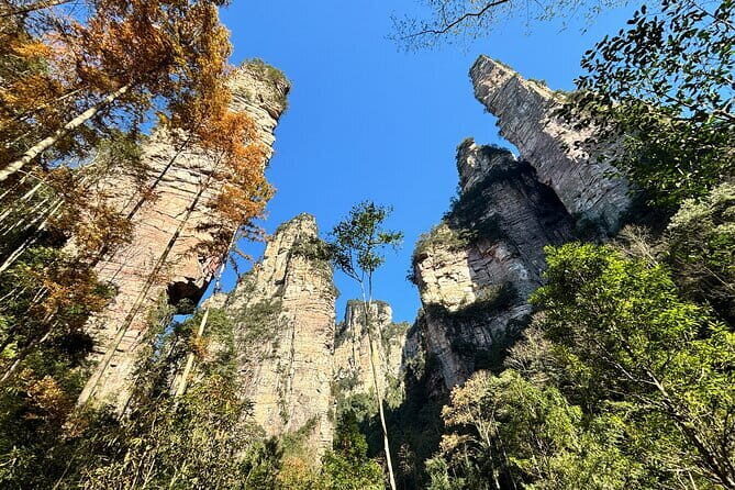 Zhangjiajie National Forest Park Tickets Booking - Key Points