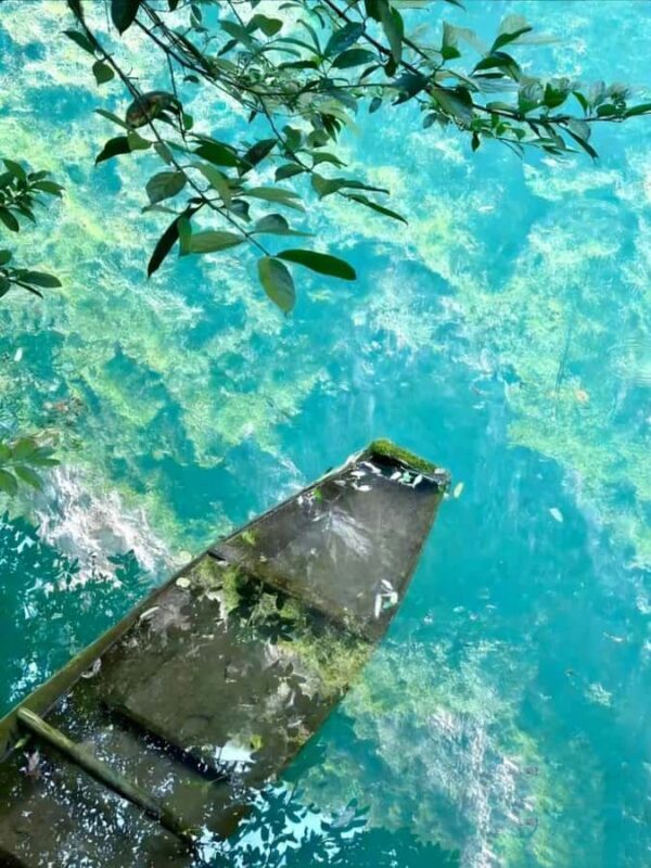 Zhangjiajie: Private Day Tour to Forest Park & Whip Stream - Sunset and Nightfall at 72 Strange Buildings