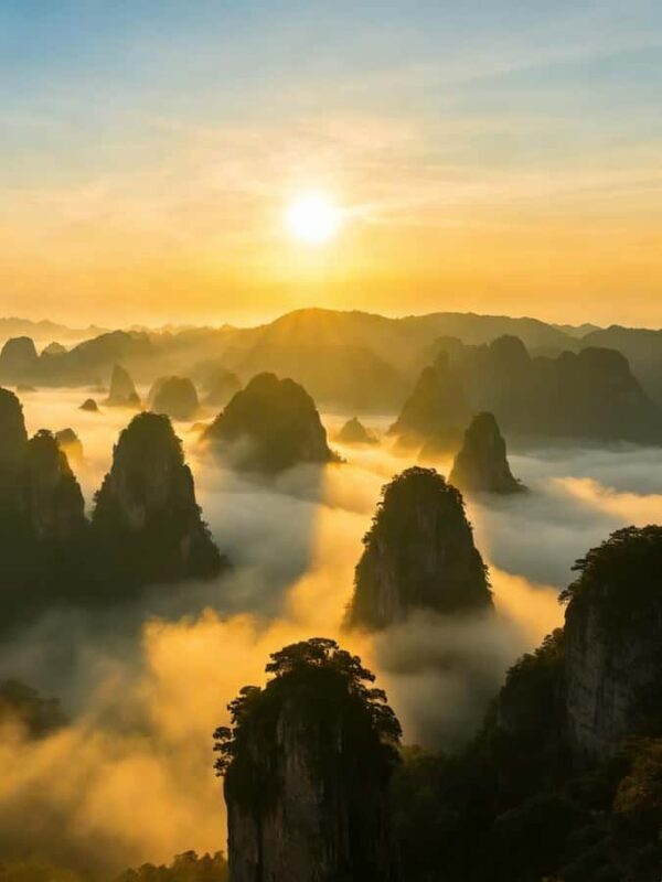 Zhangjiajie: Private Day Tour to Forest Park & Whip Stream - The Sum Up
