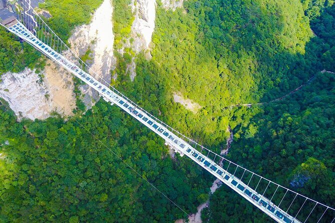 Zhangjiajie to Avatar Mountain and Glass Bridge Private Tour - Key Points