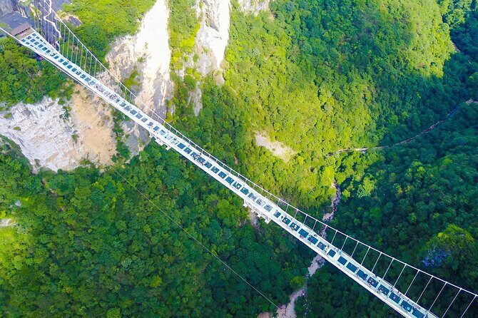 Zhangjiajie to Avatar Mountain and Glass Bridge Private Tour - Key Points