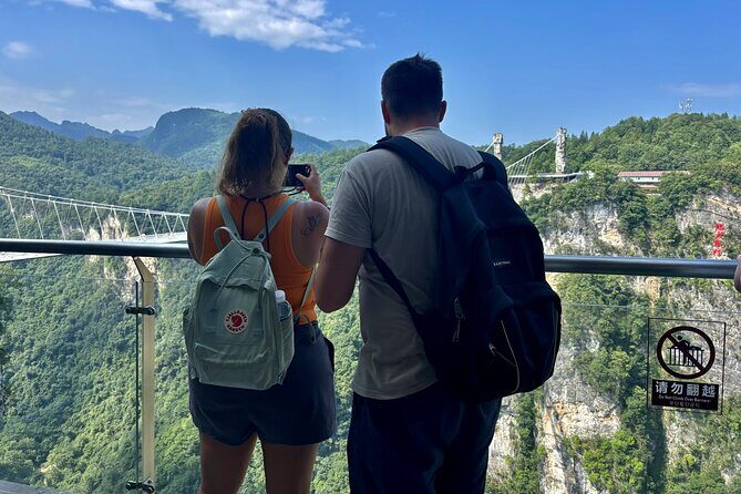 Zhangjiajie to Avatar Mountain and Glass Bridge Private Tour - Authentic Feedback from Travelers