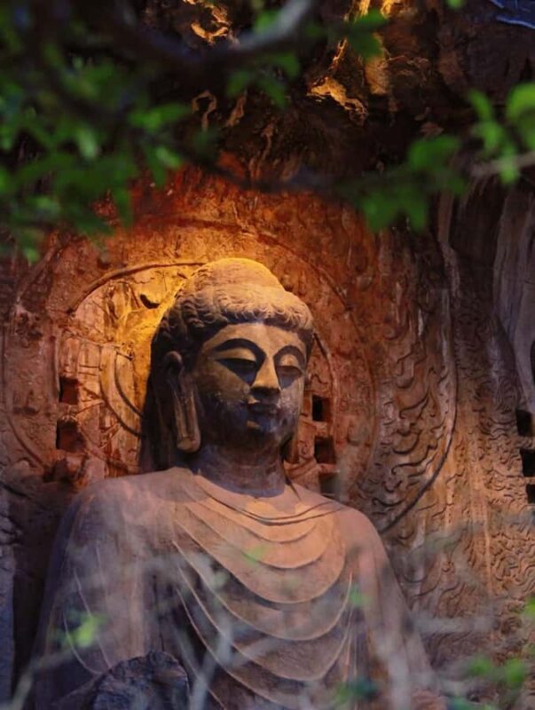 Zhengzhou to Luoyang: UNESCO Grottoes, Museum & Old Town - Who This Tour is Perfect For