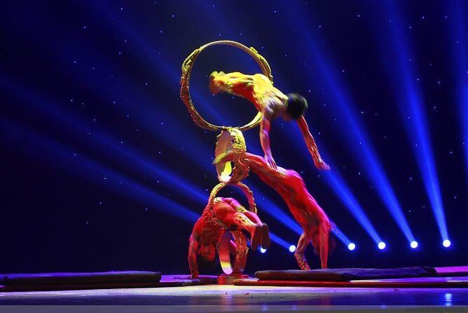 Zhujiajiao Private Day Tour and Shanghai Acrobatic Show - Frequently Asked Questions