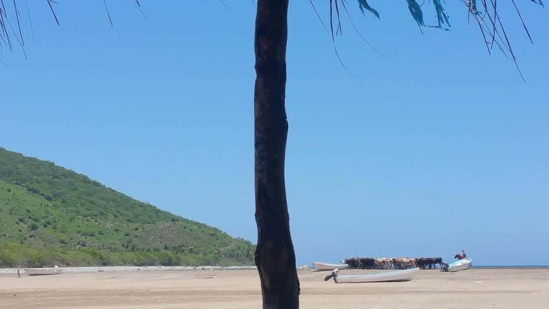 Zihuatanejo: Country Tour to Barra De Potosi - Practical Details and What to Expect