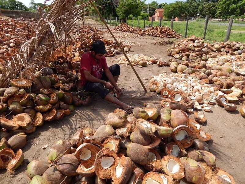 Zihuatanejo: Country Tour to Barra De Potosi - Authenticity and Value