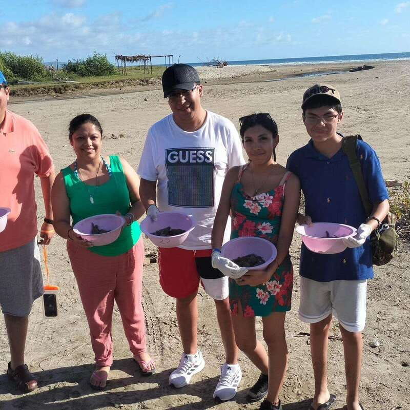 zihuatanejo-guerrero-turtle-release-experience