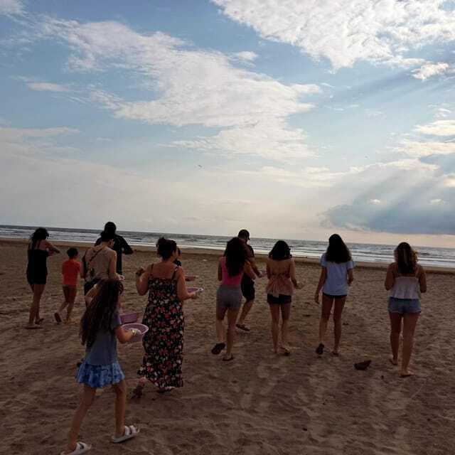 zihuatanejo-guerrero-turtle-release-experience