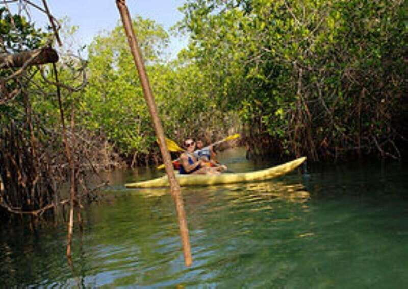 Zihuatanejo: Kayak Tour - The Details: What to Expect on Your Kayak Adventure