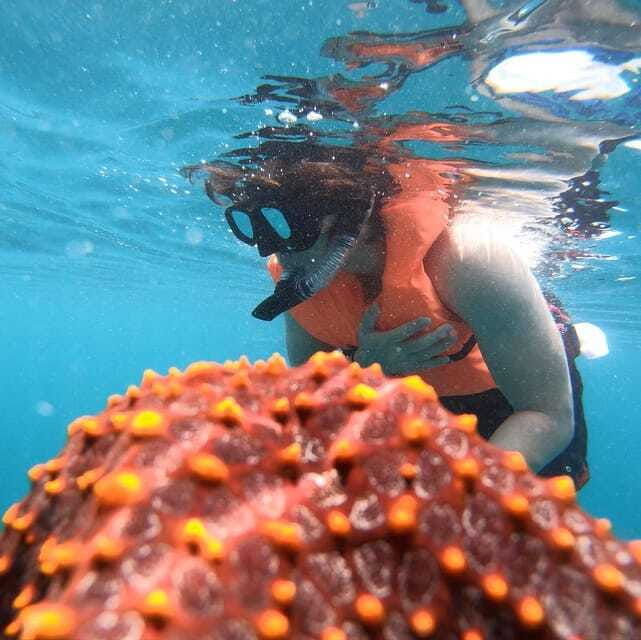 zihuatanejo-snorkeling-in-manzanillo-and-las-gatas
