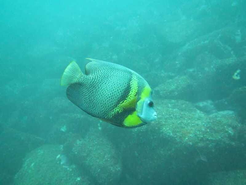 zihuatanejo-snorkeling-in-manzanillo-and-las-gatas