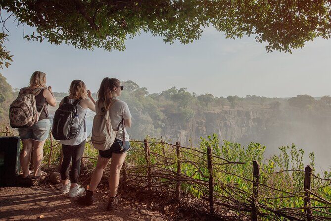 Zimbabwe & Zambia side Private Guided Tour of the Falls - Key Points