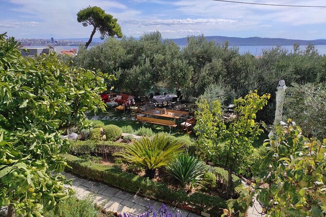 zinfandel-wine-tasting-storytelling-with-dalmatian-food