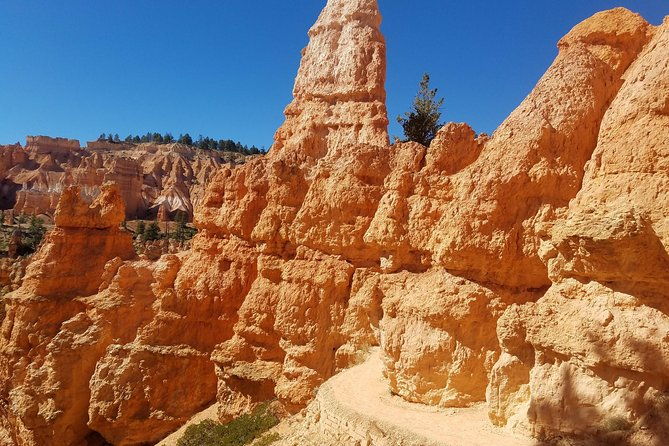 zion-and-bryce-canyon-small-group-tour-from-las-vegas-3