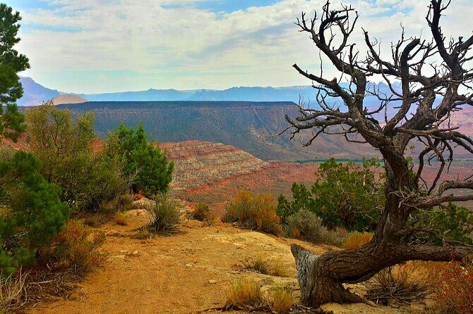 Zion Jeep Tour Premium Package - Morning Tour - Is This Tour Worth It?