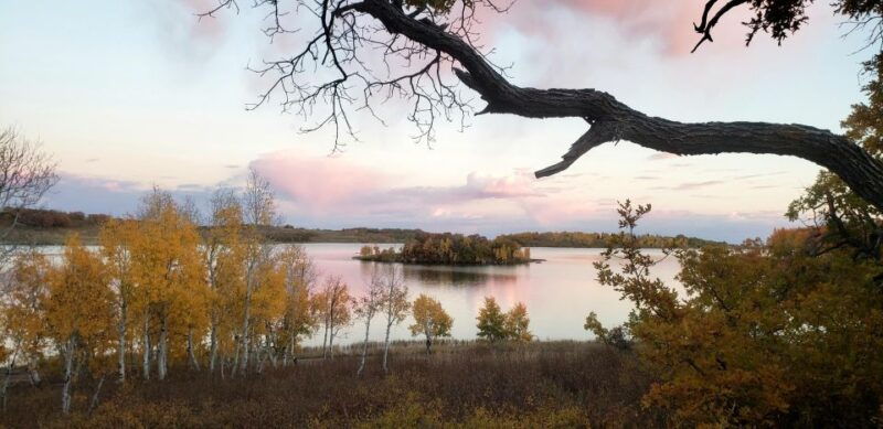 zion-national-park-kolob-terrace-1-2-day-sightseeing-tour