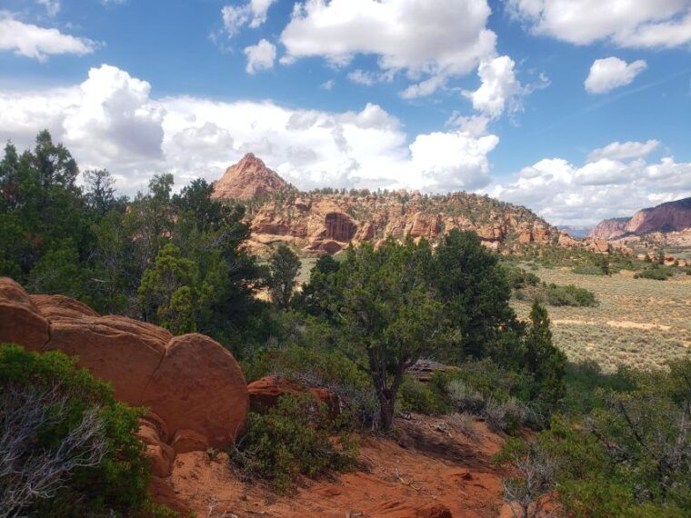 zion-national-park-kolob-terrace-1-2-day-sightseeing-tour