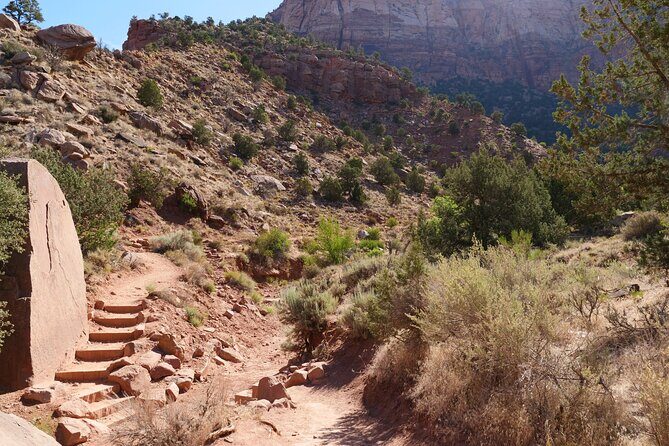 Zion National Park Small Group Tour from Las Vegas - Weather and Cancellation Policy