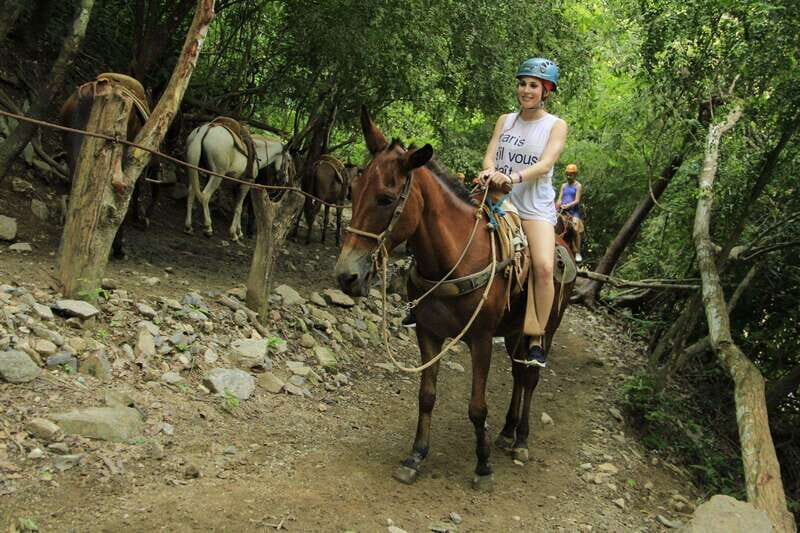 Zip Line and Mule Ride + Hanging Bridge -Puerto Vallarta - Experience the Ultimate Adventure in Puerto Vallarta: Zip Lines, Mule Ride & Hanging Bridge
