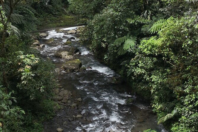 zip-line-canopy-half-day-adventure-tour-near-san-jose-costa-rica-in-san-ramon
