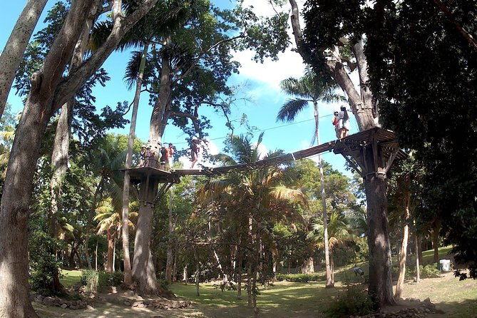 zip-line-over-the-dunns-river-falls
