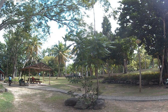 zip-line-over-the-dunns-river-falls