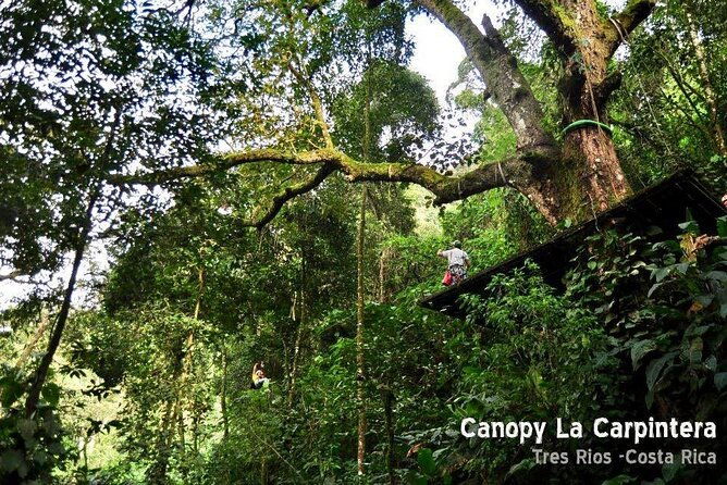 zip-line-rappel-hiking-la-carpintera-tour-in-san-jose