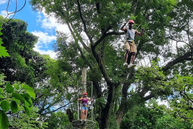 zip-lining-and-canopy-tree-tour-in-rio-de-janeiro