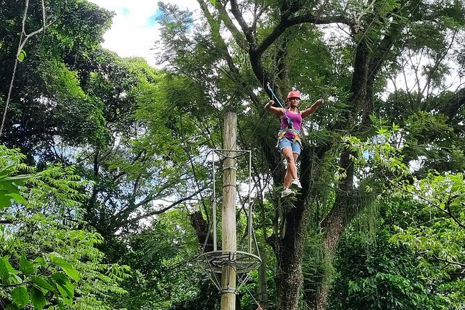 zip-lining-and-canopy-tree-tour-in-rio-de-janeiro