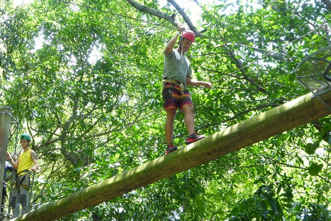 zip-lining-and-canopy-tree-tour-in-rio-de-janeiro