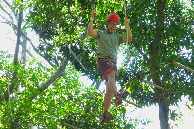zip-lining-and-canopy-tree-tour-in-rio-de-janeiro