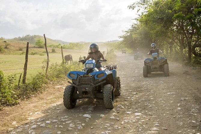 zip-lining-horseback-rides-cat-atv-inclusive-act-with-transpo-from-montego-bay