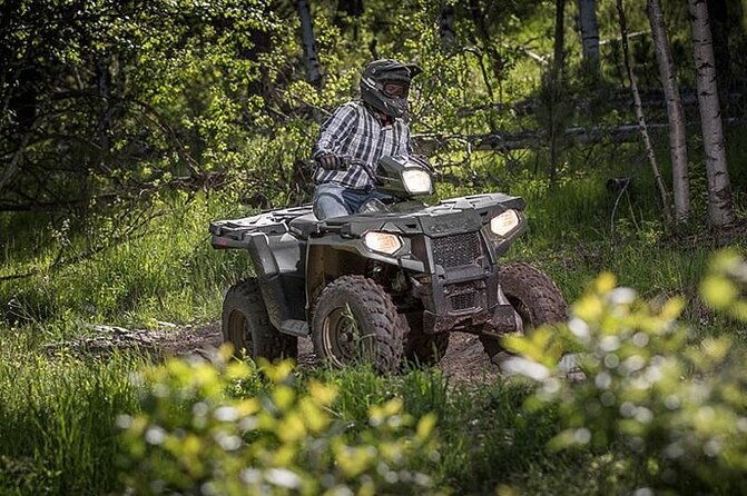 zip-lining-horseback-rides-cat-atv-inclusive-act-with-transpo-from-montego-bay