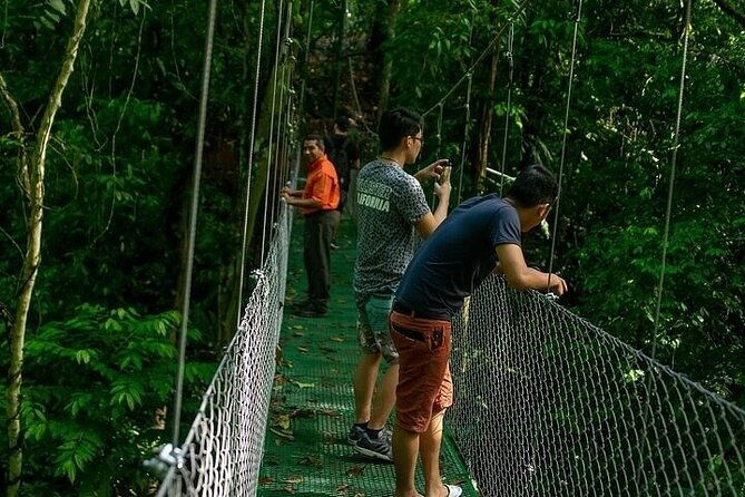 zipline-adventure-rainforest-hanging-bridges-skywalk
