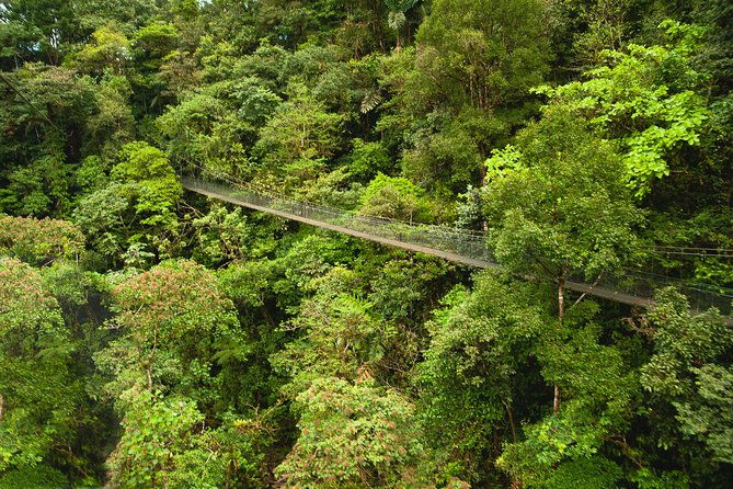 zipline-adventure-san-luis-from-san-jose