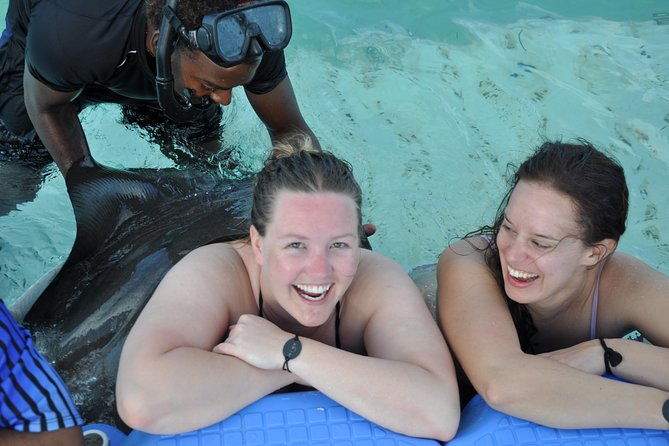 zipline-adventure-snorkeling-cruise-sharks-rays-encounter-from-punta-cana