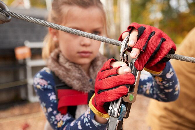 zipline-and-climb-in-a-forest-on-lake-superiors-north-shore