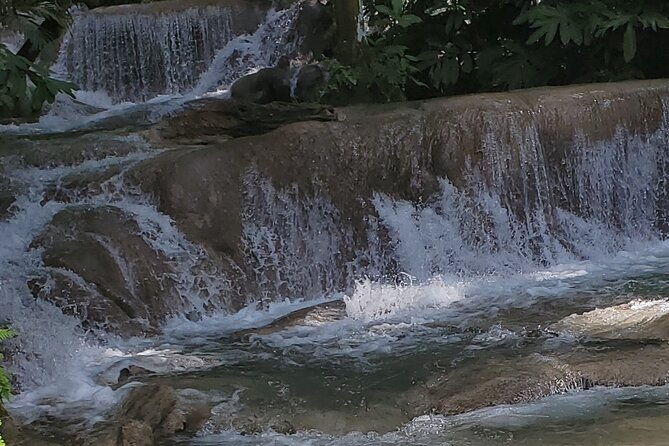 zipline-and-dunns-river-falls-combo-with-lunch-from-montego-bay