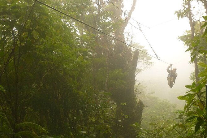 zipline-and-hanging-bridges-combo-tour-in-monteverde-cloud-forest