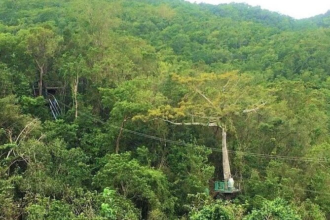 zipline-and-sloth-sanctuary-private-tour