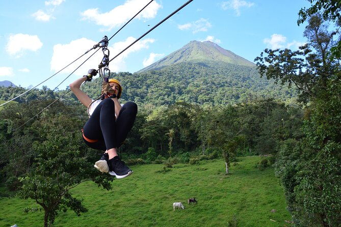 zipline-and-tarzang-swing-experience-in-san-carlos