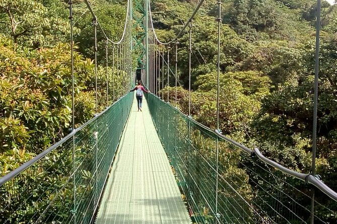 zipline-butterfly-garden-and-hanging-bridges-tour-from-san-jose