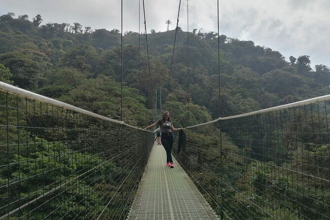 zipline-butterfly-garden-and-hanging-bridges-tour-from-san-jose
