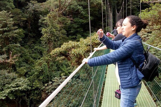 zipline-butterfly-garden-and-hanging-bridges-tour-from-san-jose