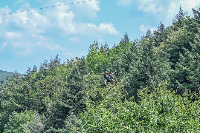 zipline-canopy-activity-admission-at-bristol-mountain