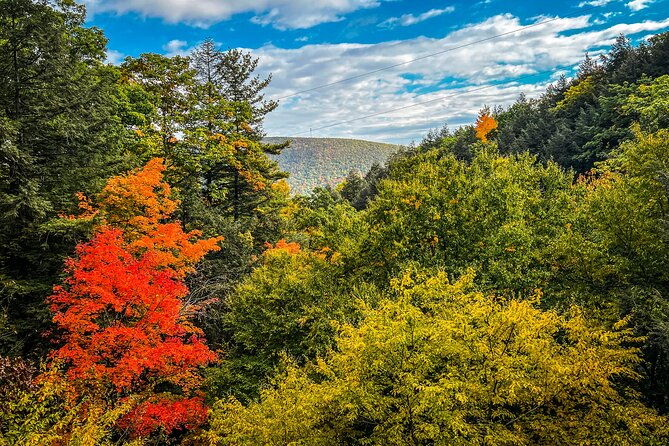 zipline-canopy-activity-admission-at-bristol-mountain