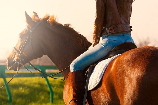 zipline-canopy-tour-horseback-riding-combo-private-tour-from-san-jose