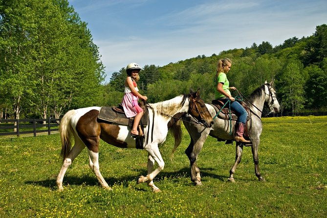 zipline-canopy-tour-horseback-riding-combo-private-tour-from-san-jose