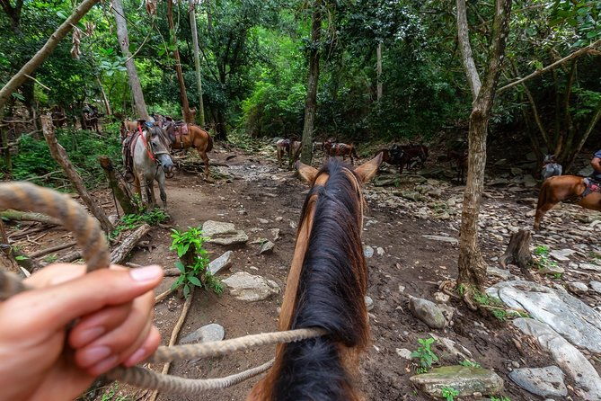 zipline-canopy-tour-horseback-riding-combo-private-tour-from-san-jose