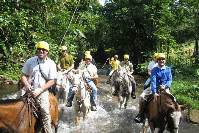 zipline-canopy-tour-horseback-riding-combo-private-tour-from-san-jose